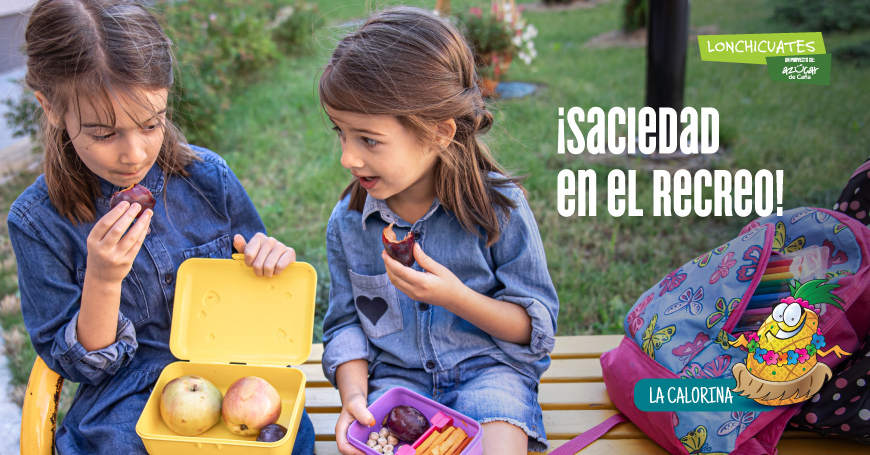 Energía para toda la mañana: proteína más fibra en el recreo